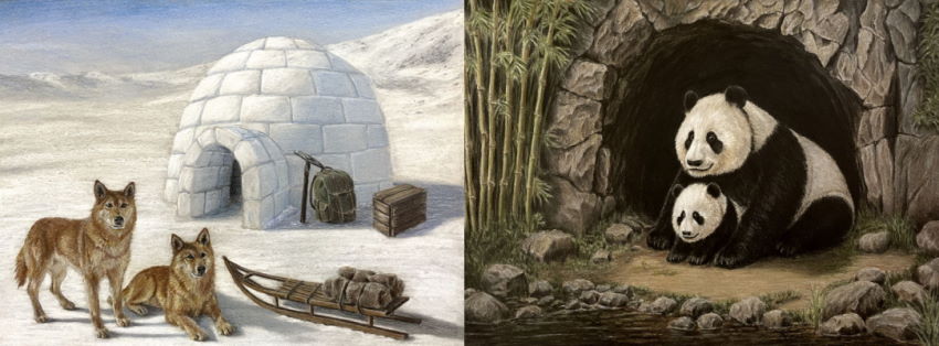 ציורים ריאליסטיים עם עפרונות צבעוניים