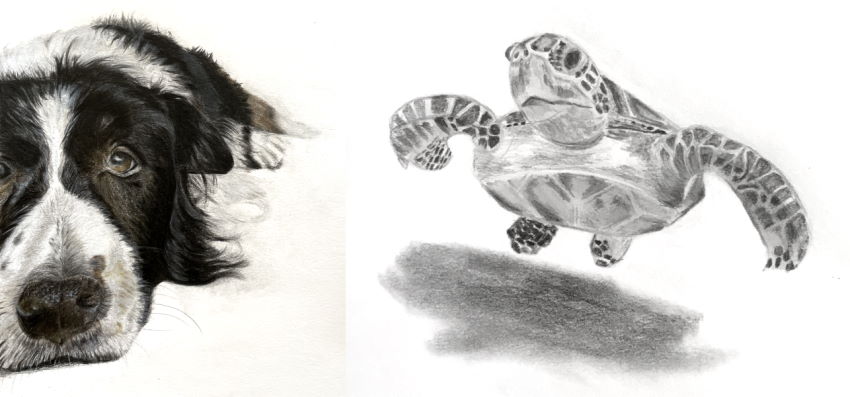 רישום ריאליזם של דנה, בעלי חיים ופרח