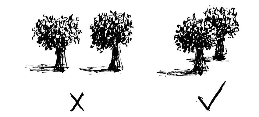 סקיצה של עצים קטנים