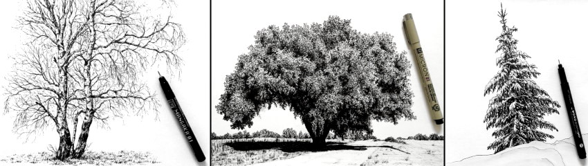 רישום-בעט-של-עצים