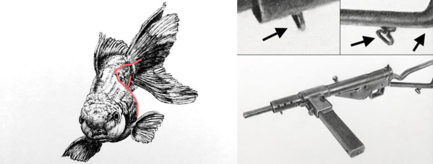 דוגמאות לציור צורת טורוס